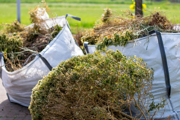 Best Electronics Removal Services  in Elgin, TX